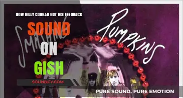 Unveiling Billy Corgan's Iconic Feedback Sound on Smashing Pumpkins' Gish