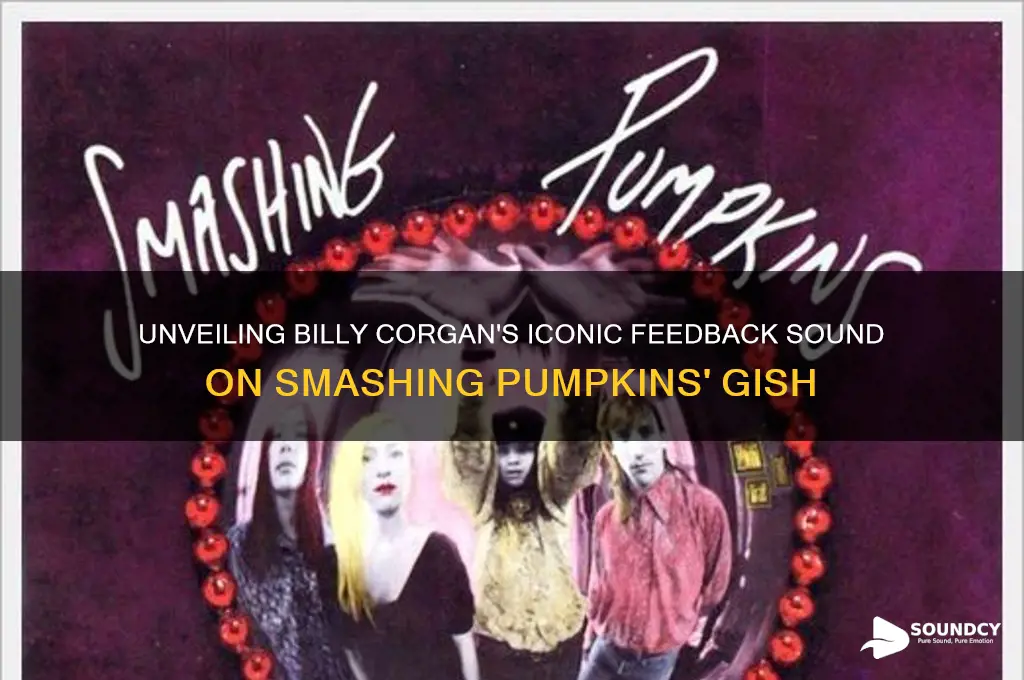 how billy corgan got his feedback sound on gish
