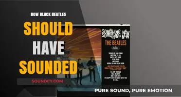 Black Beatles: A Different Sound Perspective