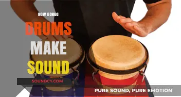 Exploring the Vibrant Rhythms: How Bongo Drums Create Their Unique Sound