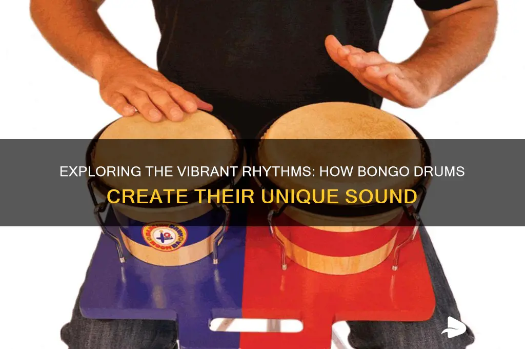 how bongo drums make sound