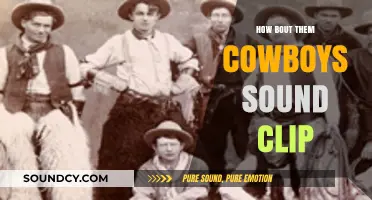 The Cowboys' Chant: "How 'Bout Them Cowboys