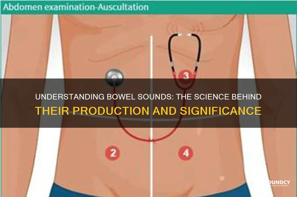 how bowel sounds are produced