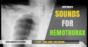 Understanding Hemothorax: Identifying Abnormal Breath Sounds in Chest Trauma