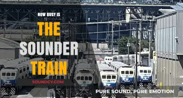 Sounder Train: Rush Hour Chaos