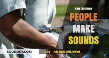 Exploring the Unique Sounds and Rhythms of Caribbean Culture