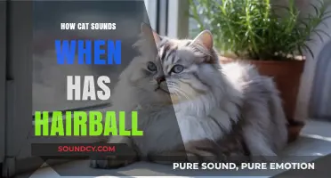 Cat Sounds: Hairball Edition