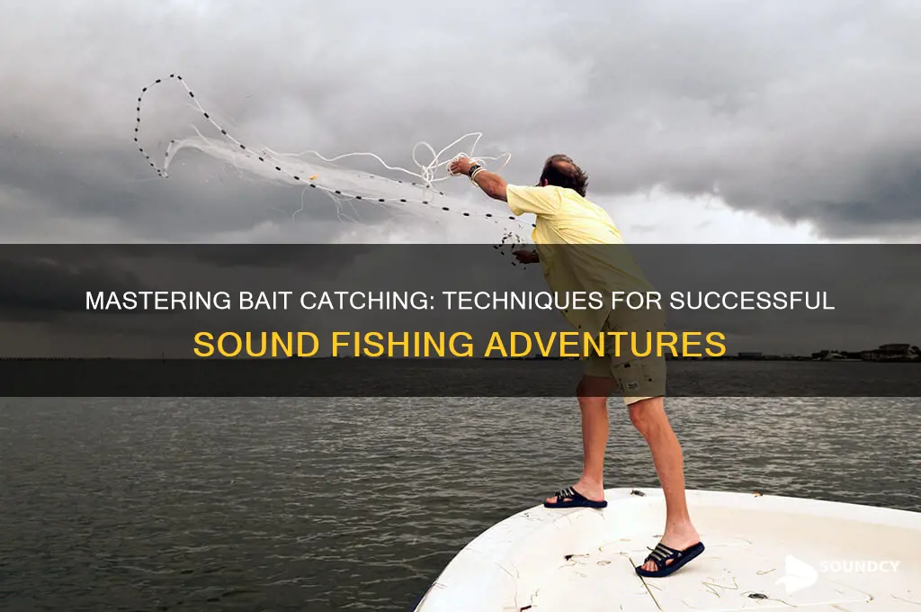 how catch bait in sound
