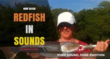 Mastering Redfish Fishing: Proven Techniques for Catching Redfish in Sounds
