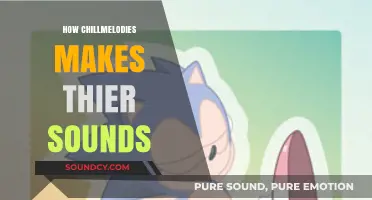 Unveiling Chillmelodies' Sonic Magic: Crafting Their Signature Soundscapes
