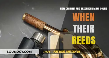 Clarinet vs. Saxophone: How Reeds Vibrate to Create Unique Sounds