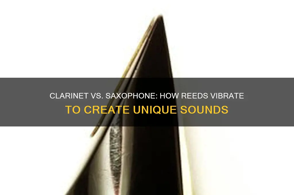how clarinet and saxophone make sound when their reeds