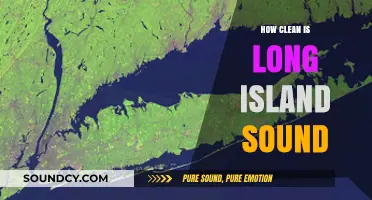 Long Island Sound's Water Quality: Is It Safe?