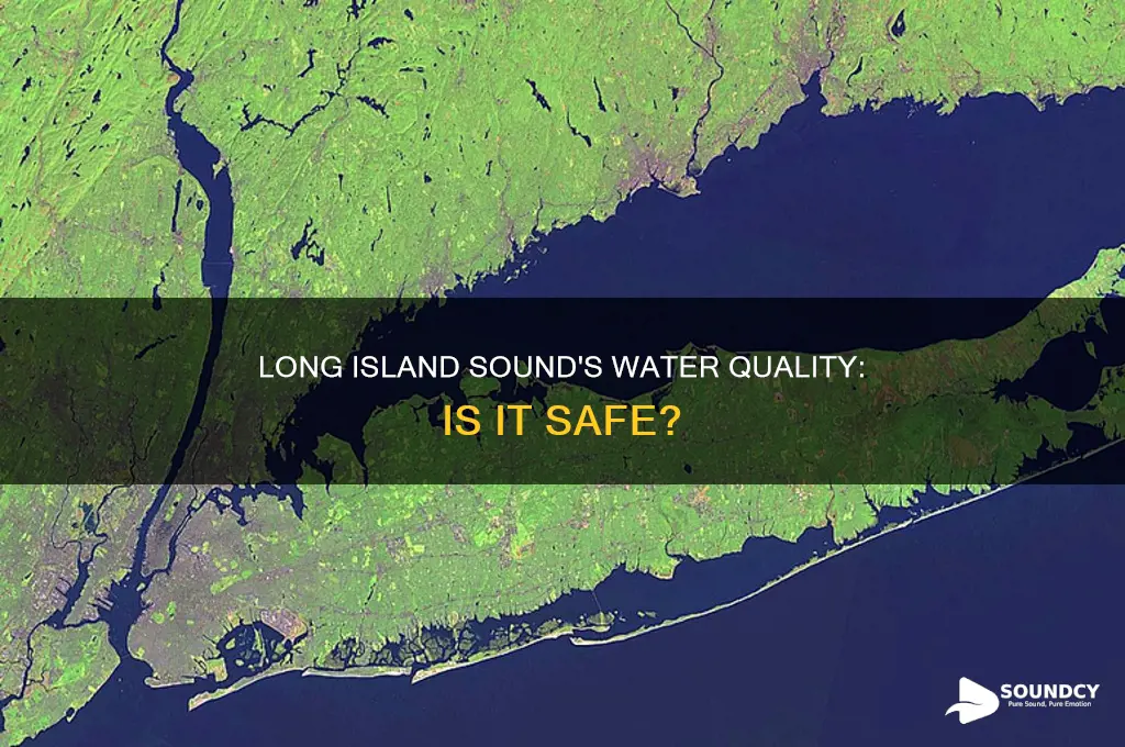 how clean is long island sound