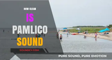Exploring Pamlico Sound's Water Quality: How Clean Is It Really?