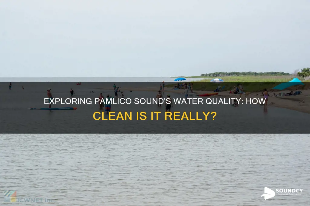 how clean is pamlico sound