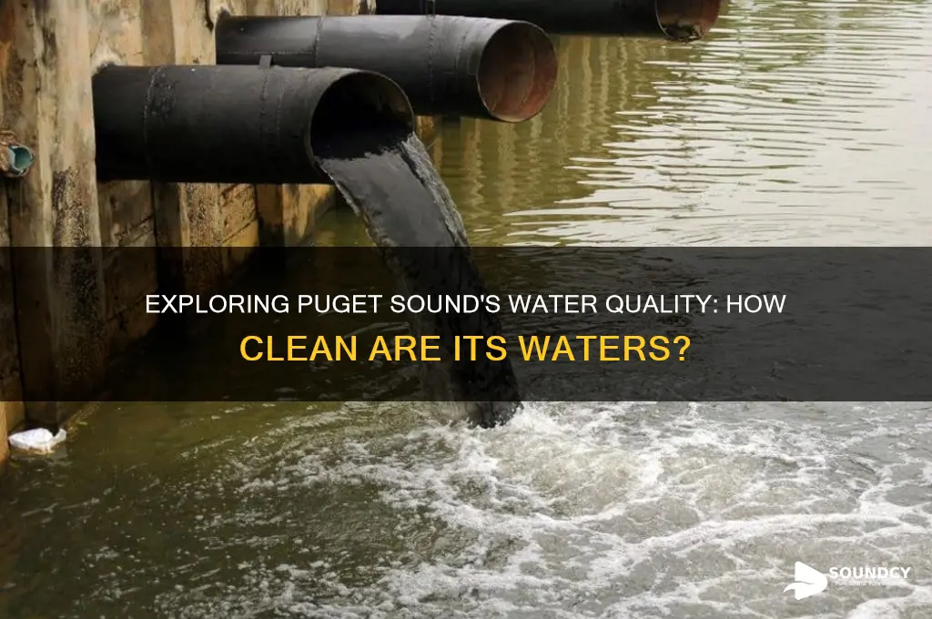 how clean is puget sound