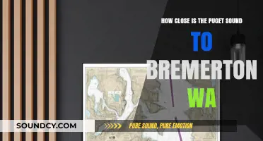 Puget Sound's Proximity to Bremerton, WA: A Quick Distance Guide
