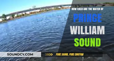 Chilling Truth: Prince William Sound's Water Temperatures Explained