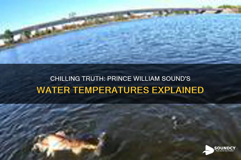 how cold are the water of prince william sound