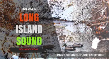 Exploring the Chilly Depths of Long Island Sound