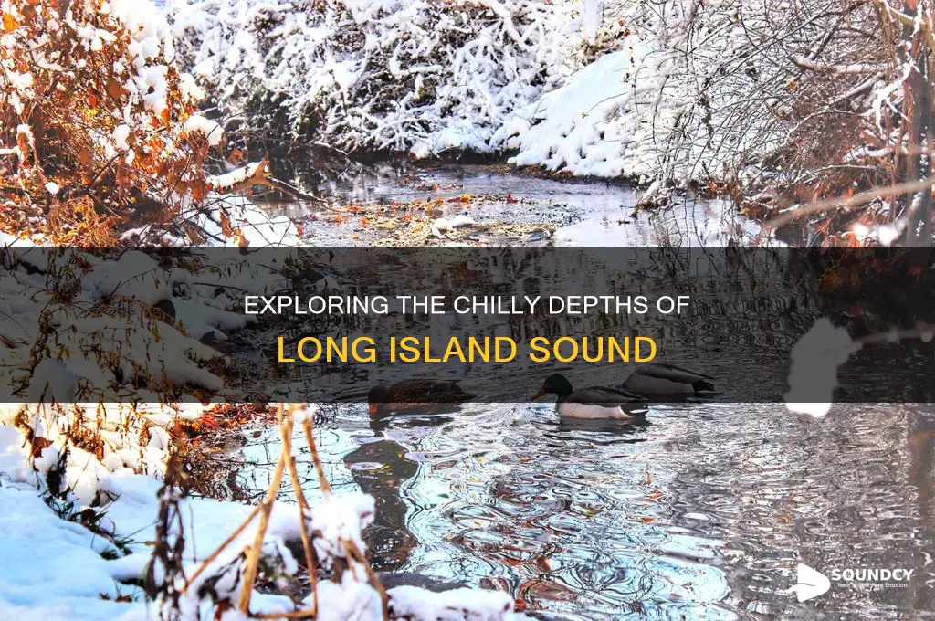 how cold is long island sound