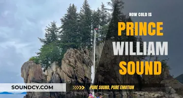 Exploring the Chilling Depths of Prince William Sound