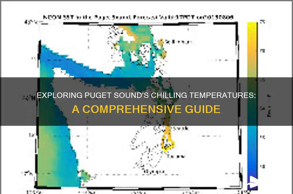 how cold is puget sound