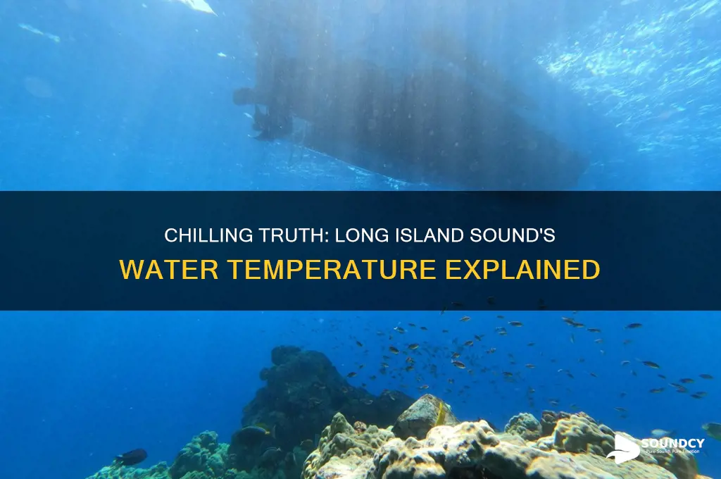 how cold is the water in long island sound