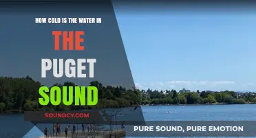 Chilling Truth: Puget Sound's Water Temperature Revealed