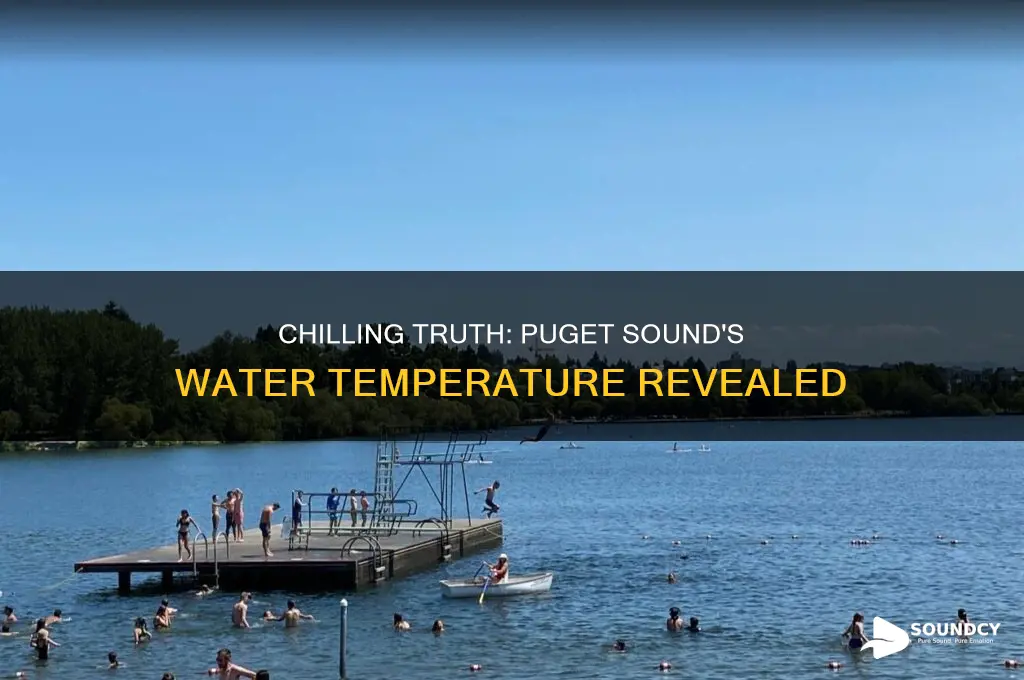 how cold is the water in the puget sound