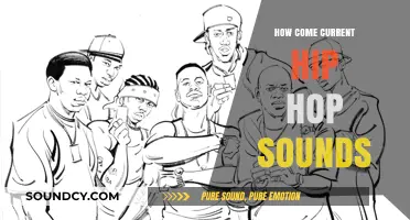 Hip Hop's Evolution: A Sonic Adventure