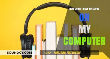 Why Is My Computer Silent? Troubleshooting No Sound Issues