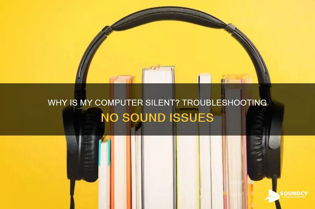 how come i have no sound on my computer