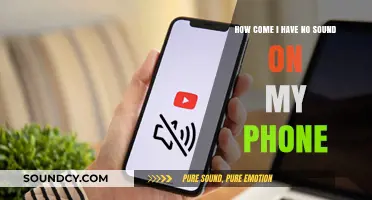 Why Is My Phone Silent? Troubleshooting No Sound Issues