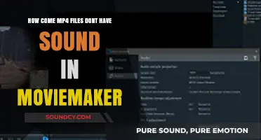 Why MP4 Files Lack Sound in Movie Maker: Troubleshooting Guide