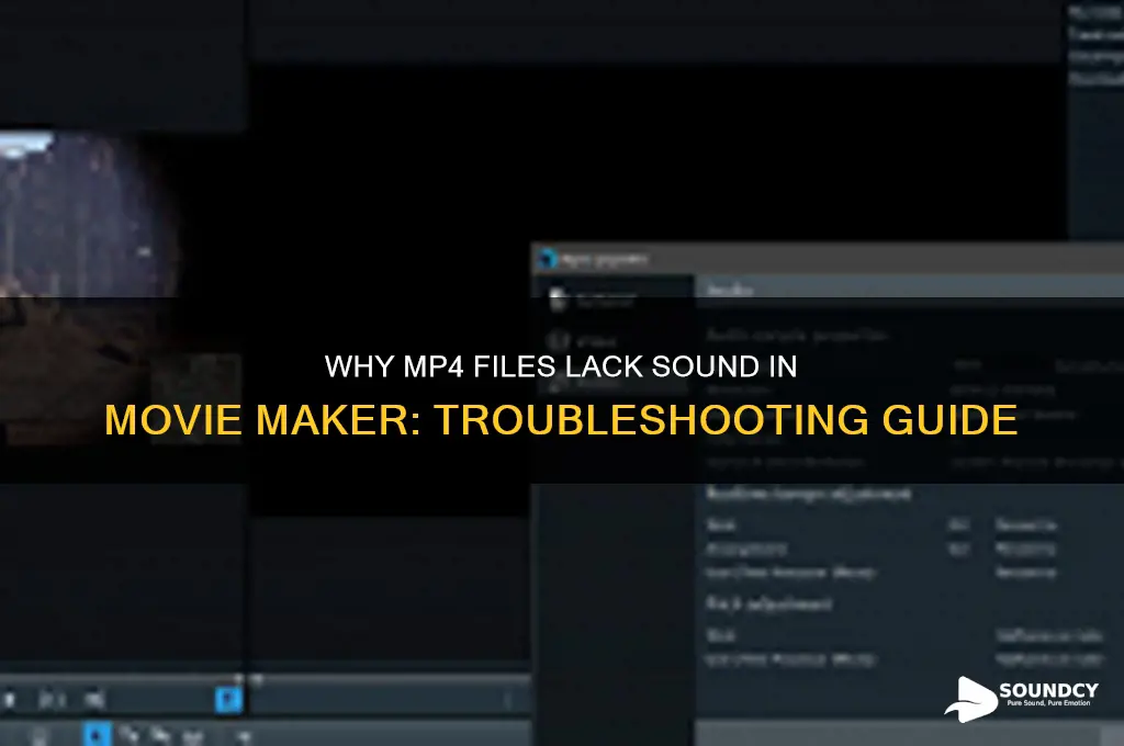 how come mp4 files dont have sound in moviemaker