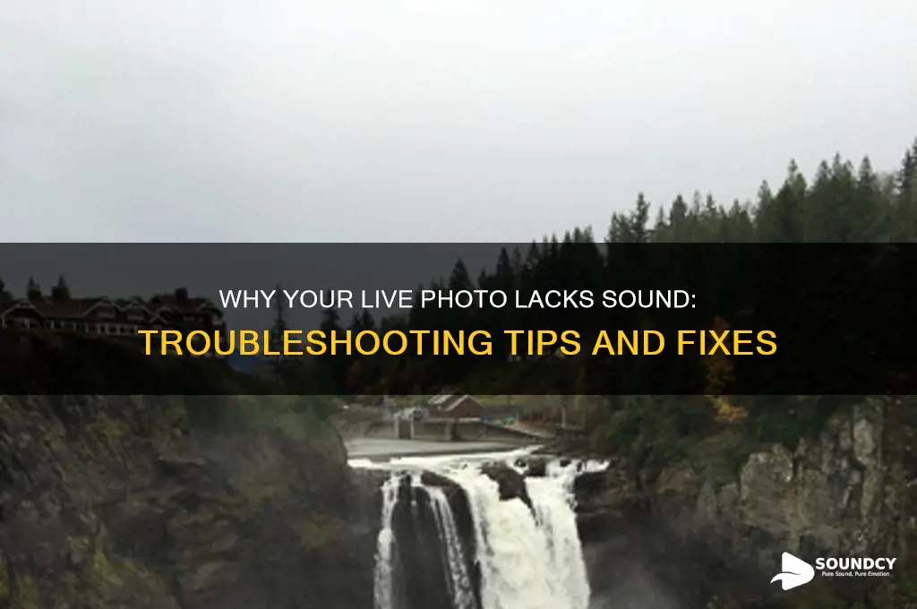 how come my live photo does not have sound