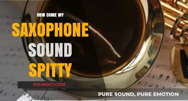 Fixing a Spitty Saxophone Sound