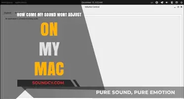 Why Won’t My Mac Sound Adjust? Troubleshooting Volume Issues
