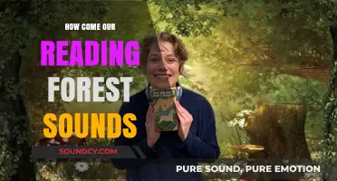 Exploring the Sounds of the Reading Forest