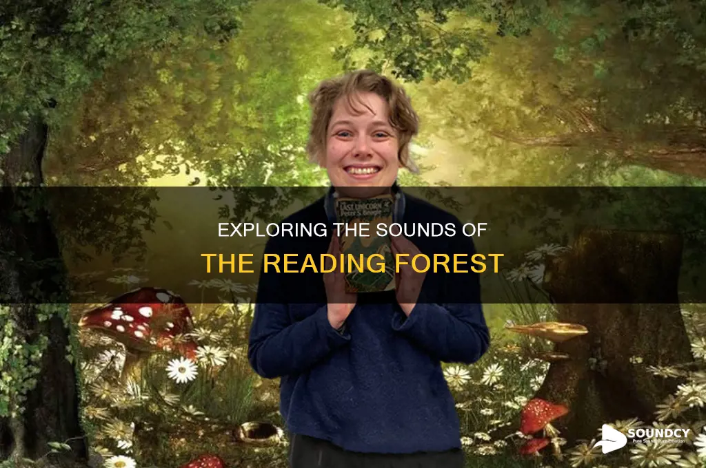 how come our reading forest sounds
