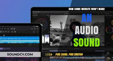 Why Your Website Isn't Producing Audio: Troubleshooting Sound Issues