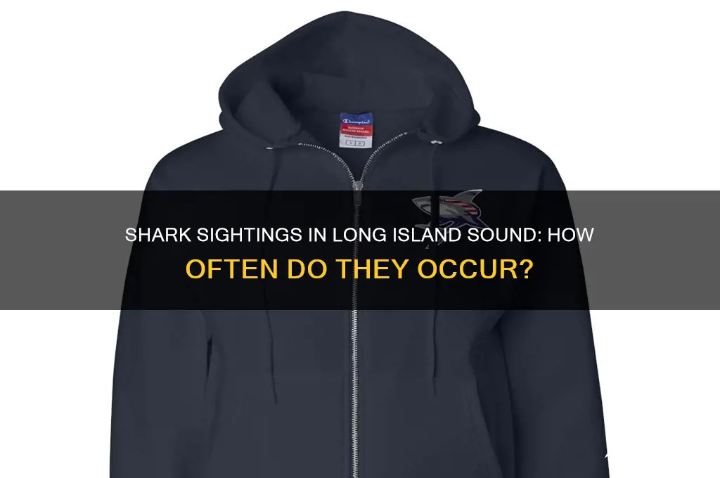 how common are shark sightings in long island sound