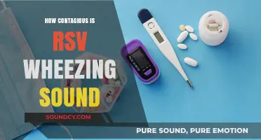 RSV Wheezing: Highly Contagious, Here's What to Know