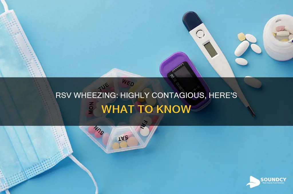 how contagious is rsv wheezing sound