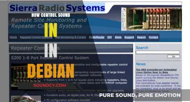 Mastering Audio Controls in Debian