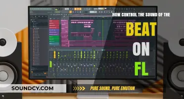 Mastering Beat Sound Control in FL Studio: Essential Techniques