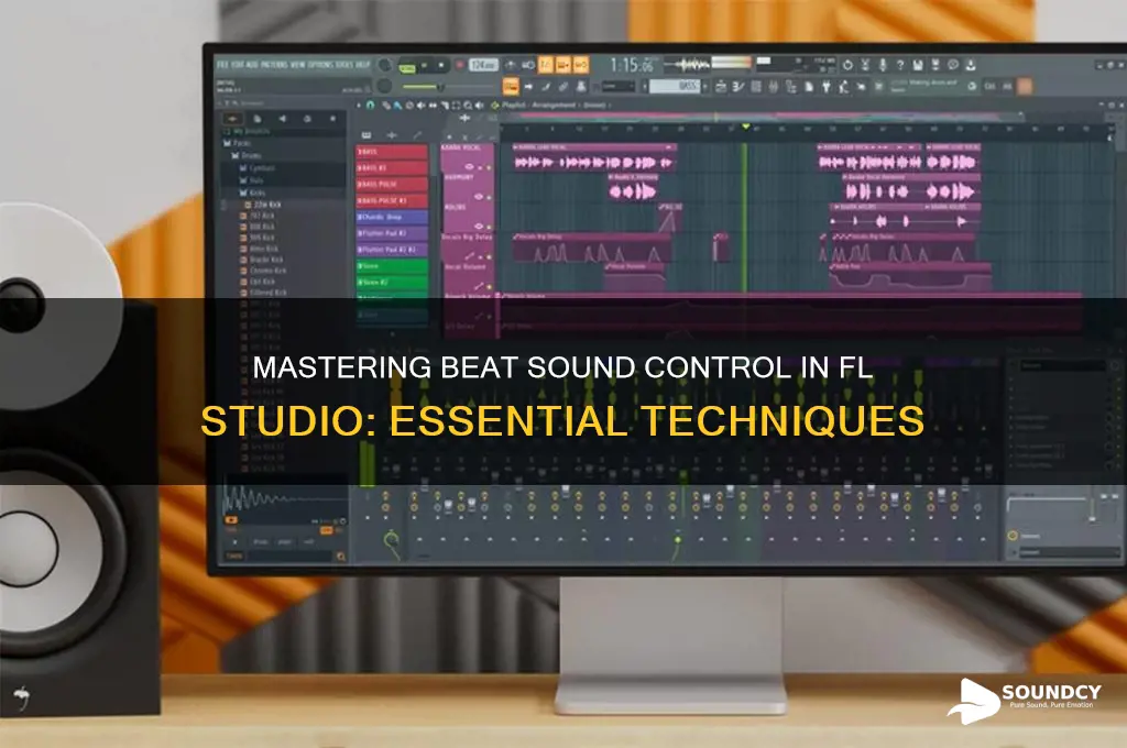 how control the sound of the beat on fl