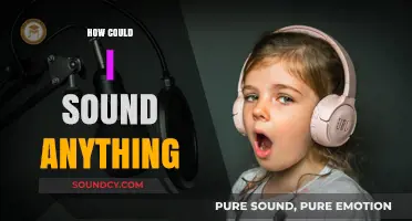 Mastering Vocal Techniques: How to Sound Anything with Confidence and Ease